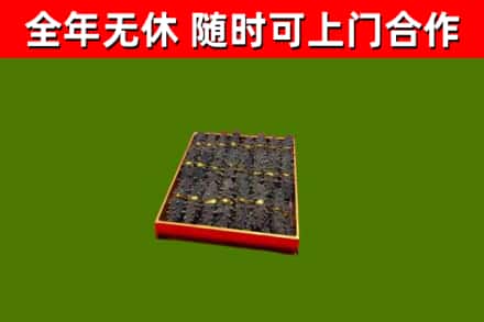 新宁回收海参